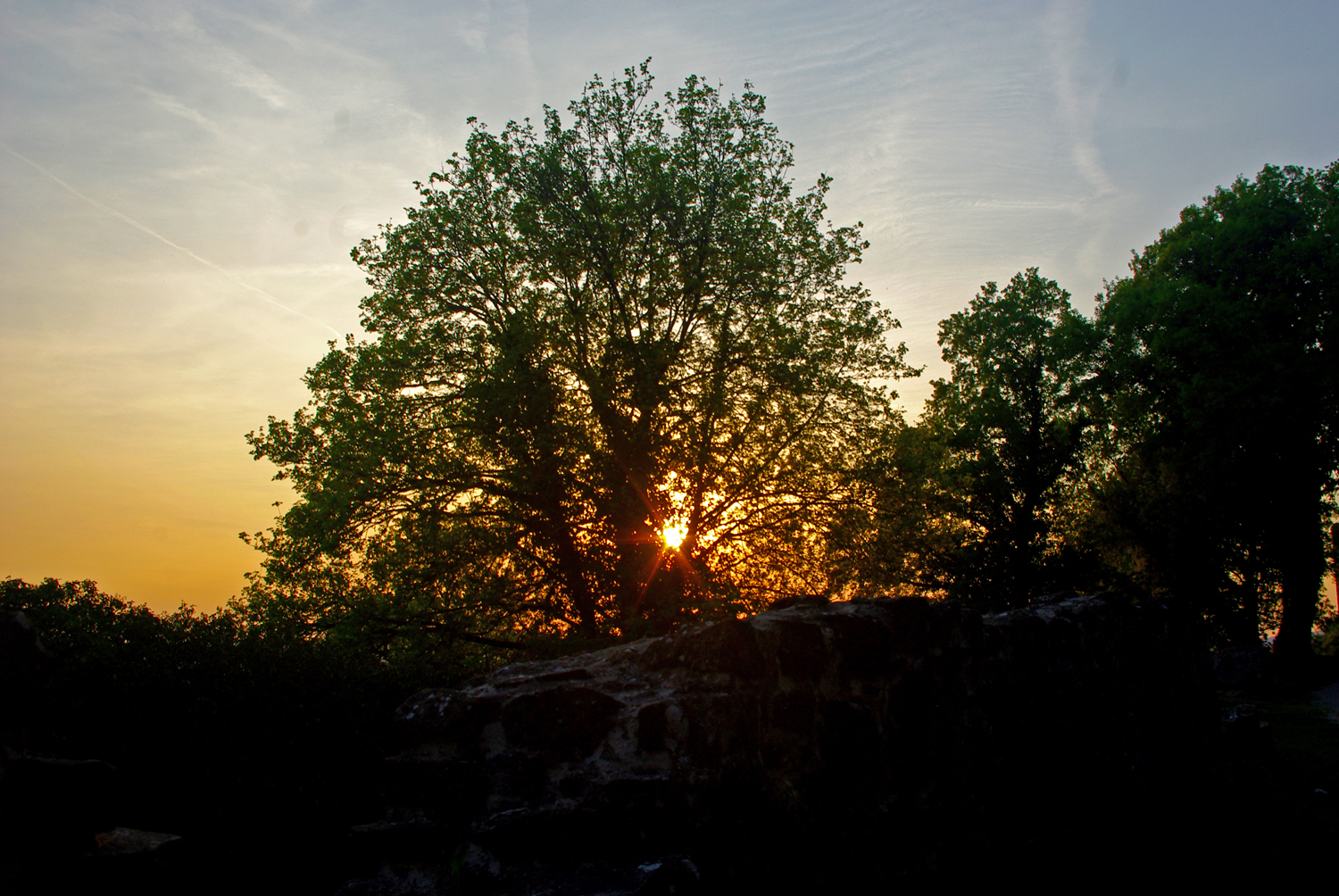 Sonnenuntergang mit Baum